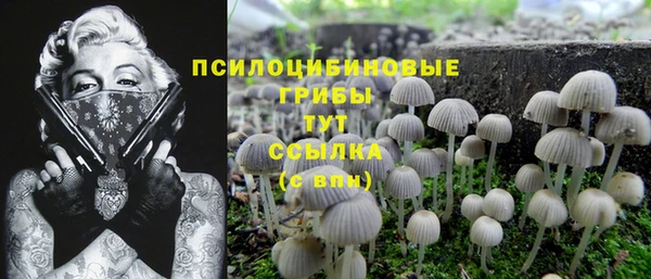 спайс Иннополис