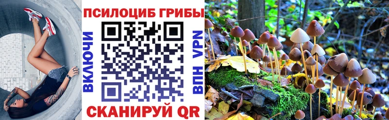 Псилоцибиновые грибы GOLDEN TEACHER  Барыш 